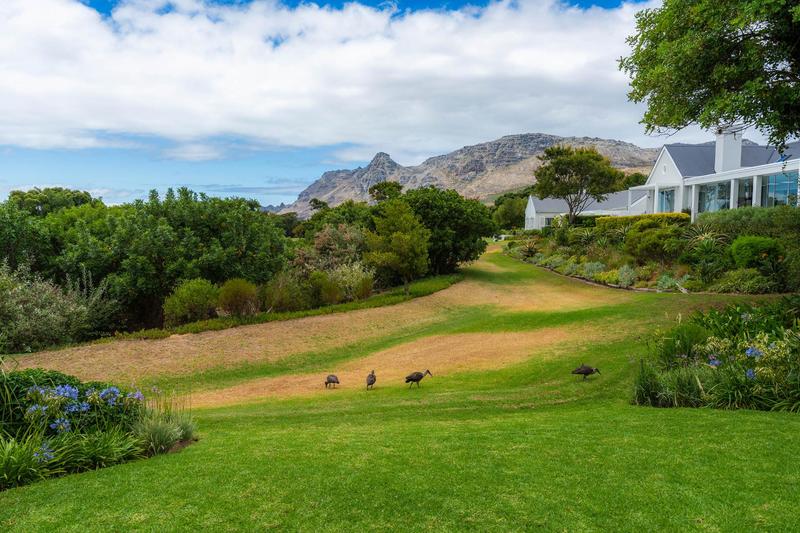 4 Bedroom Property for Sale in Steenberg Estate Western Cape